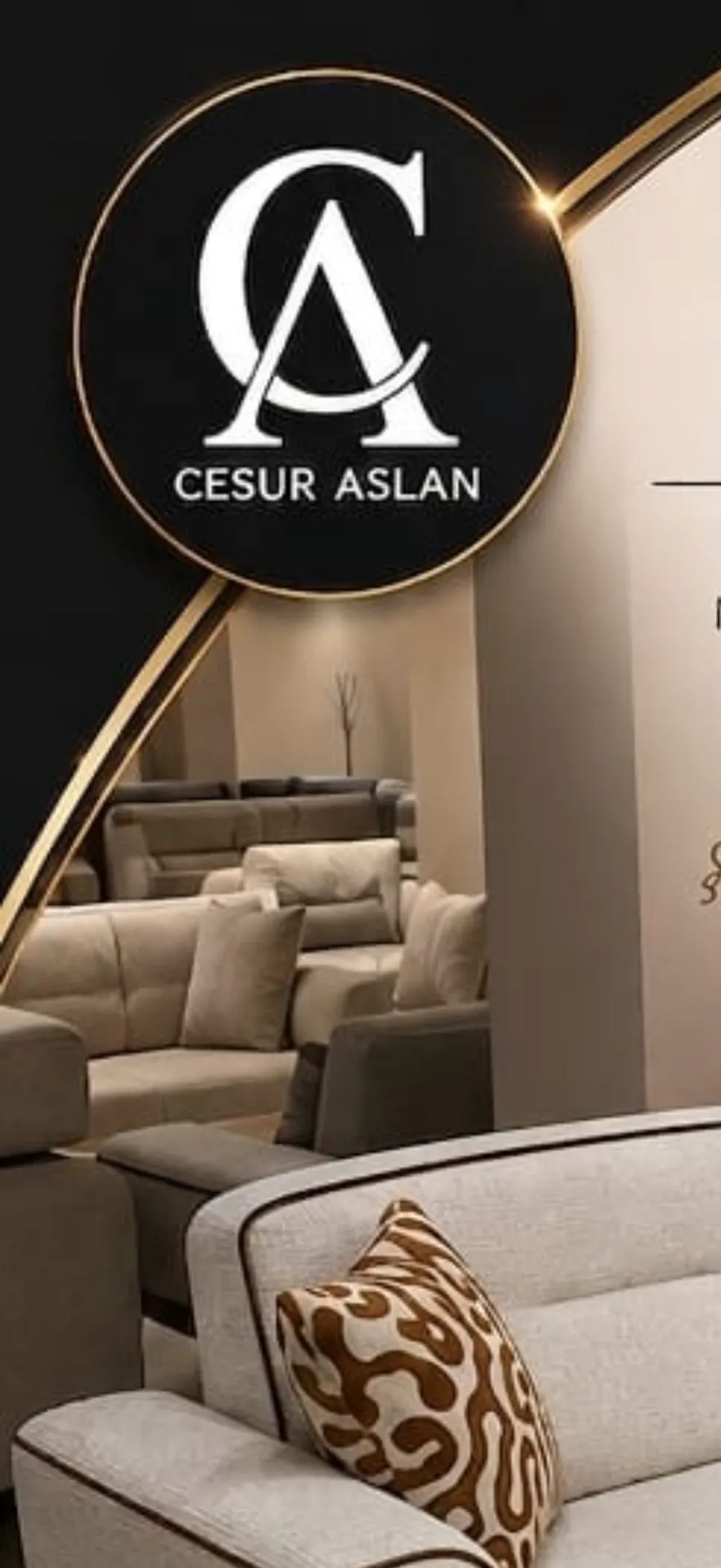 Cesur Aslan home gesing